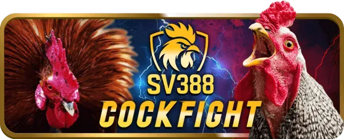 Hỗ trợ VIP tận tâm và chuyên nghiệp tại pub88 casino